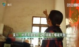 吴川最新爆料新闻,揭秘某事件背后惊人真相